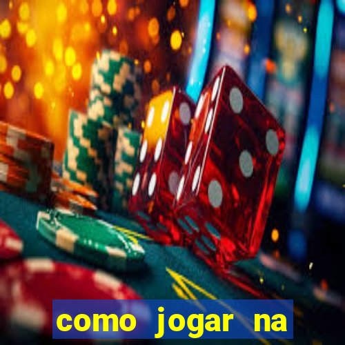 como jogar na lotinha do jogo do bicho